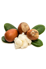 Shea Butter (Gjalpi Shea)